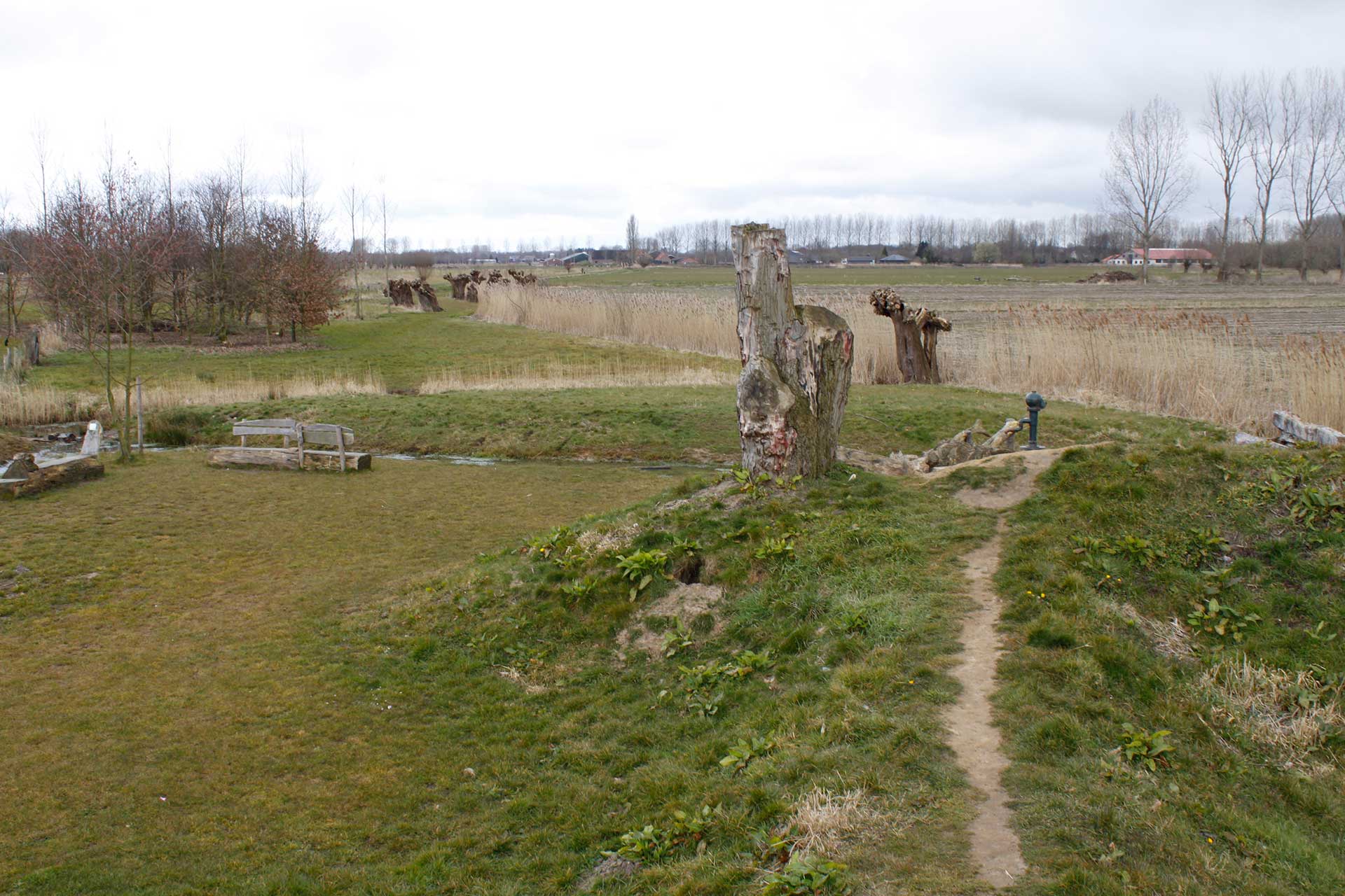 Excursie woeste weide –