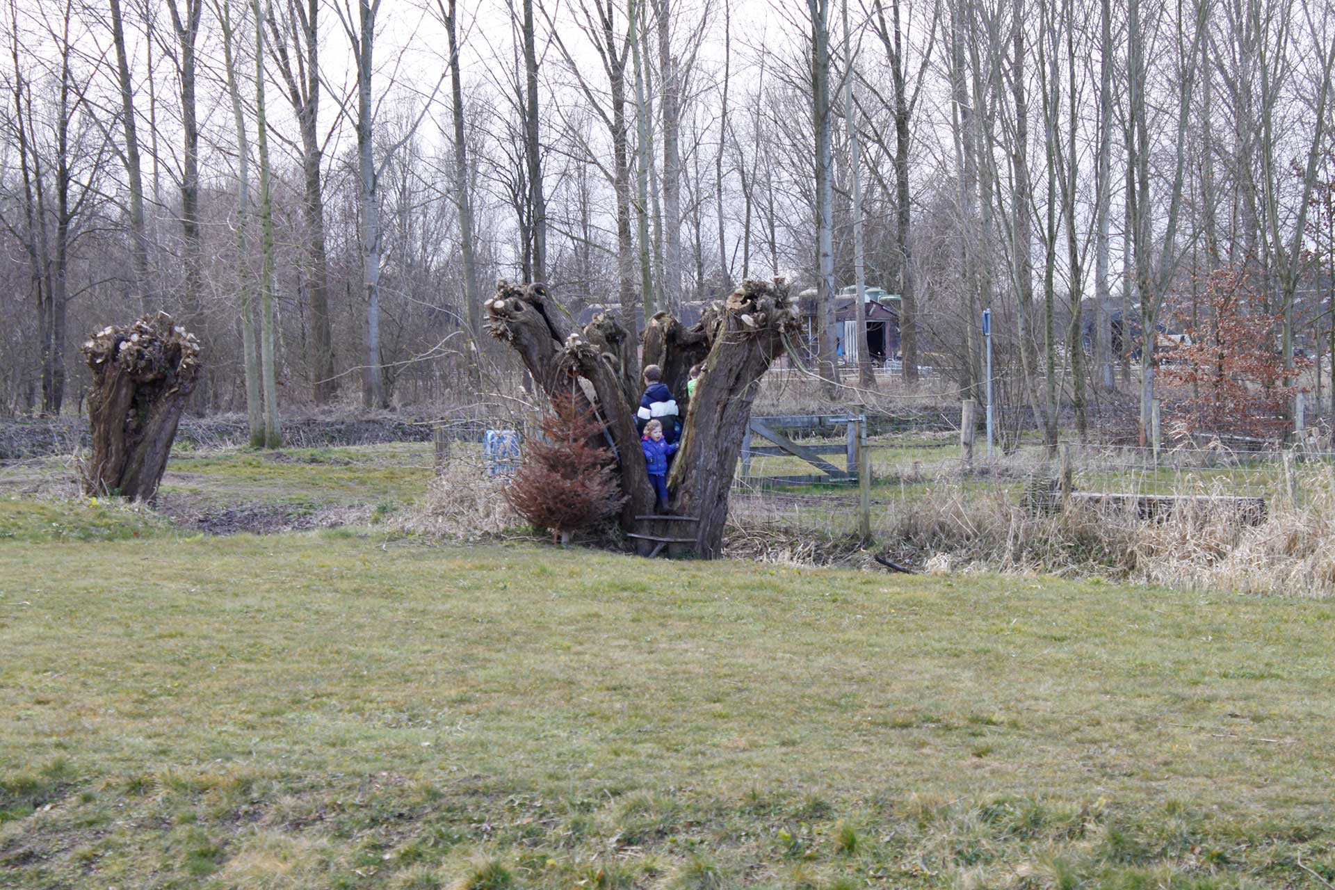 Excursie woeste weide –